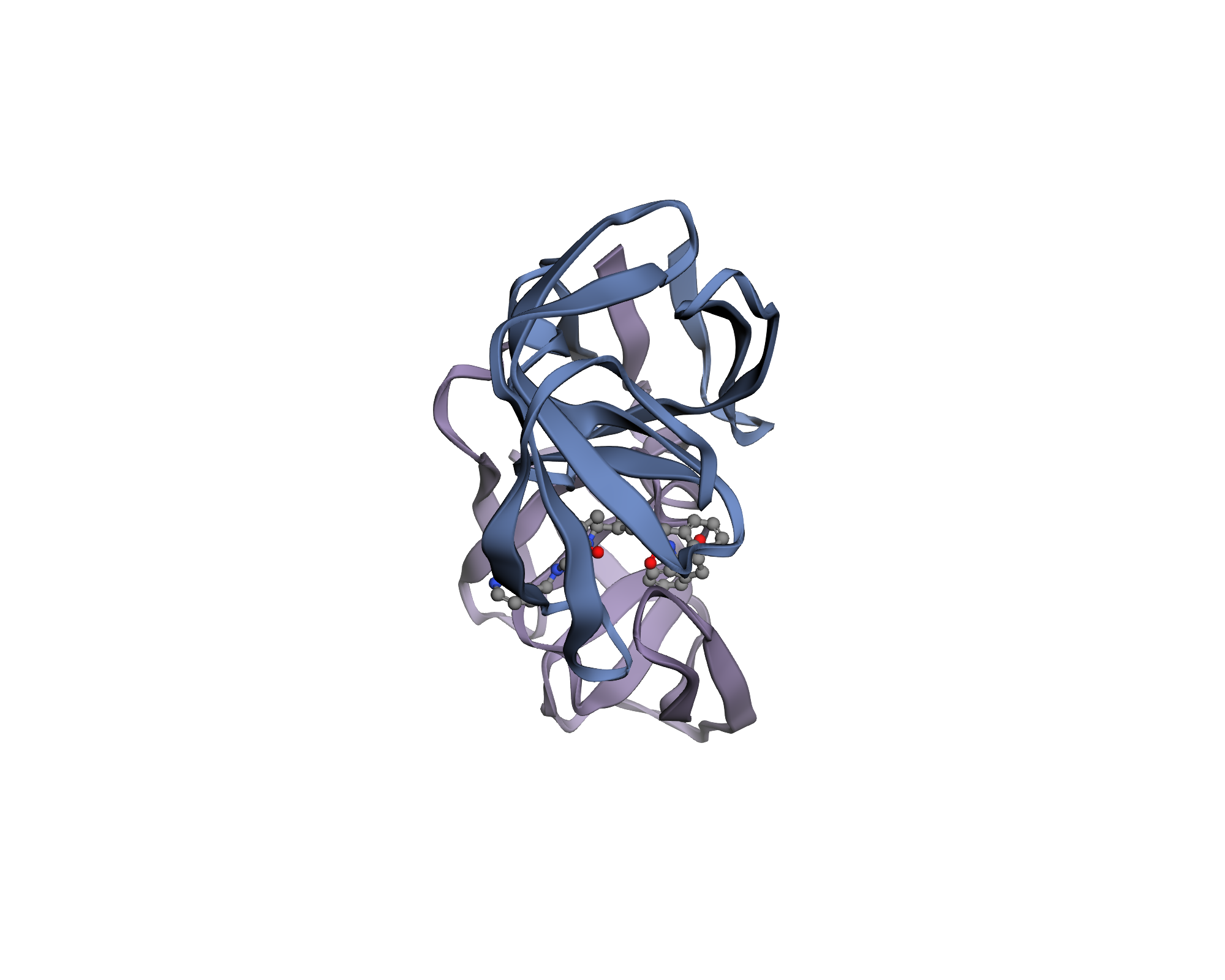 Prepared HIV-1 protease with the bound MK1 ligand, rendered from the supplied coordinates.