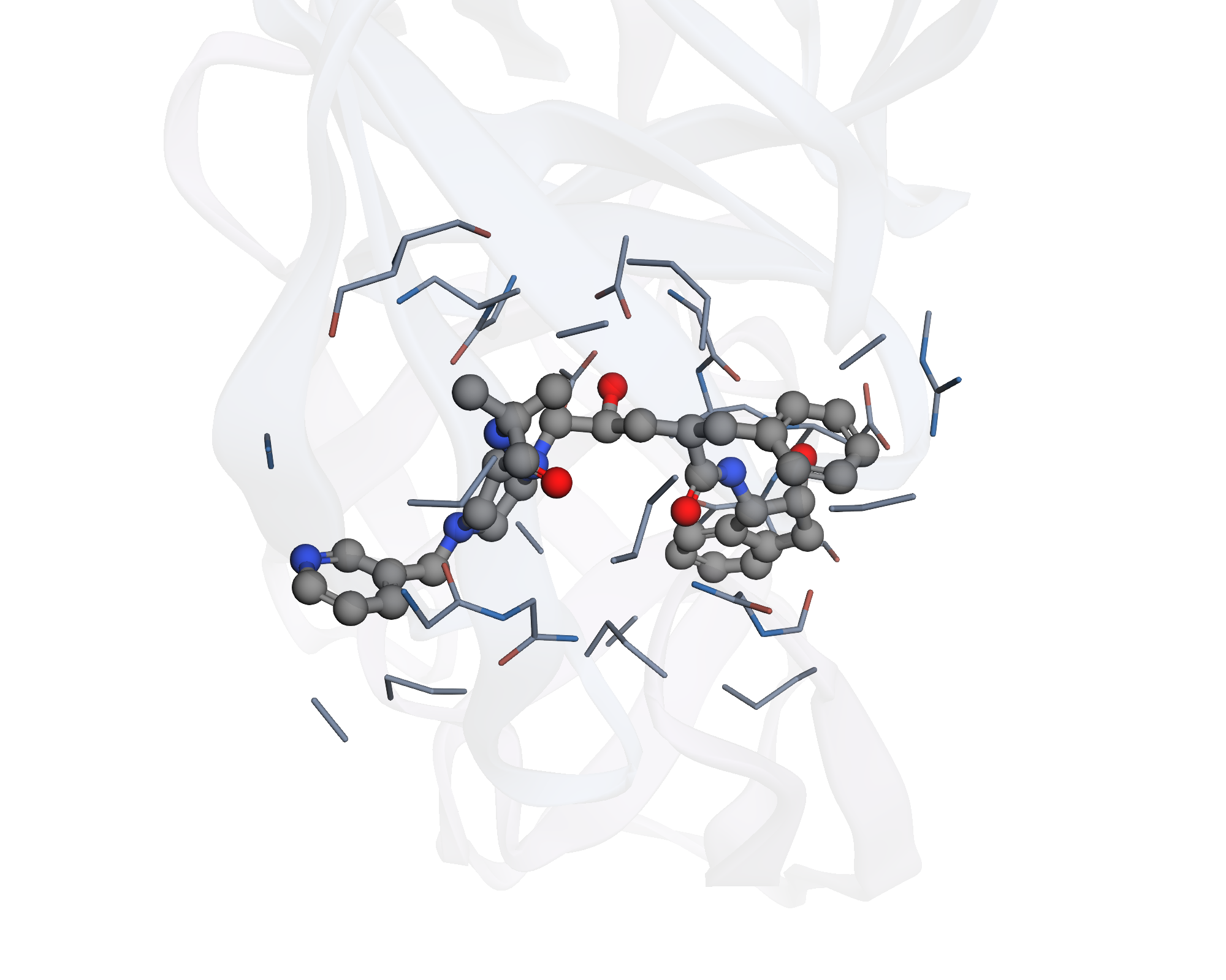 Enlargement of MK1 and protein atoms within five angstroms, with carbon grey, oxygen red and nitrogen blue.