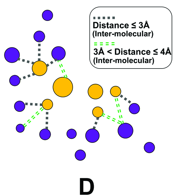 Published panel D: distance-dependent edges connect purple protein atoms to ochre ligand atoms, without intramolecular edges.