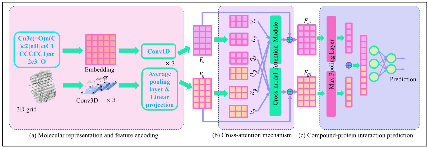 DL-FSG architecture with parallel SMILES and molecular grid encoders, bidirectional cross-attention and a screening prediction head.