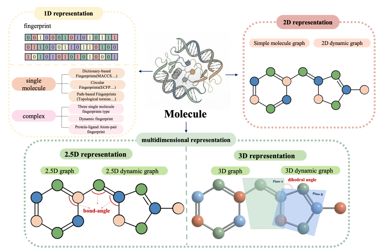 UniMolRep taxonomy linking a molecule to fingerprints, molecular graphs, bond angles and torsions.