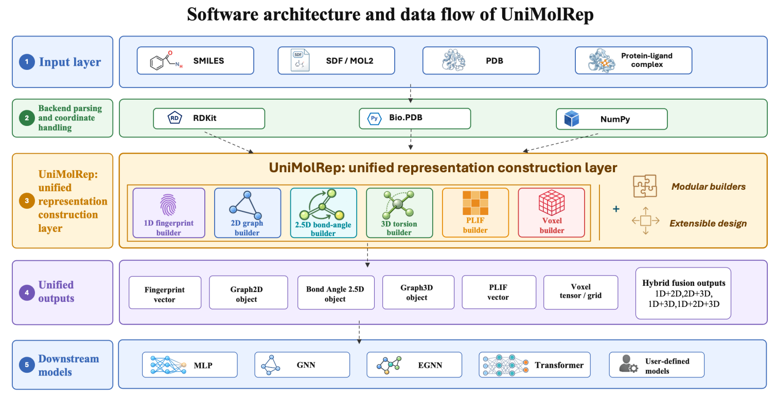 UniMolRep workflow converting molecular structures into representations for learning models.
